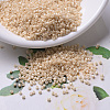 MIYUKI Delica Beads SEED-MY11-DB0205-1