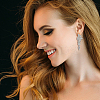 2 Sets 2 Style Rhinestone Wing Asymmetrical Earrings EJEW-FI0001-31-6
