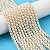 Preciosa® MAXIMA Crystal Nacre Pearls Y-PRC-NPA4-70000-1