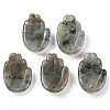 Natural Labradorite Pendants G-K359-03E-1