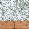 MIYUKI Delica Beads SEED-X0054-DB2165-4