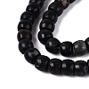 Natural Biotite Beads Strands G-Q616-02A-12-4