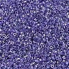 MIYUKI Delica Beads SEED-X0054-DB0250-3