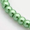 Dyed Glass Pearl Round Beads Strands HY-X0001-04-3
