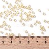 TOHO Round Seed Beads SEED-XTR08-0770-3