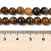 Natural Yellow Tiger Eye Beads Strands G-H238-6mm-4