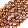 Frosted Transparent Glass Bead Strands GLAA-P065-8mm-13-2