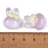 Transparent Epoxy Resin Bunny Decoden Cabochons CRES-P035-02A-3