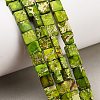 Dyed Natural Imperial Jasper Beads Strands G-F833-A01-01C-1