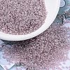 MIYUKI Round Rocailles Beads SEED-X0054-RR0168-1