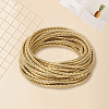 10M Round Imitation Leather Braided Cord WL-GF0001-32A-02-7