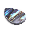 Natural Abalone Shell/Paua Shell Cabochons SSHEL-L017-002-2