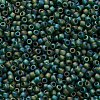 TOHO 11/0 Round Beads X-SEED-TR11-0179F-2