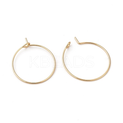 316L Surgical Stainless Steel Hoop Earring Findings STAS-G229-07G-03B-1