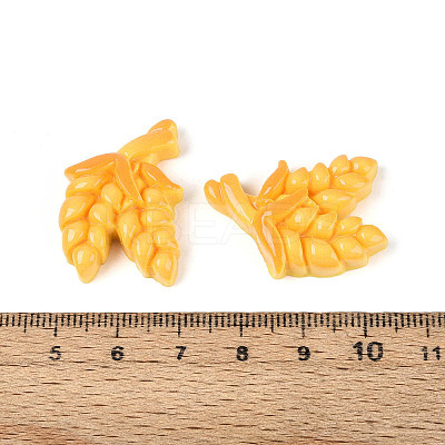 Opaque Resin Decoden Cabochons RESI-N051-08-1