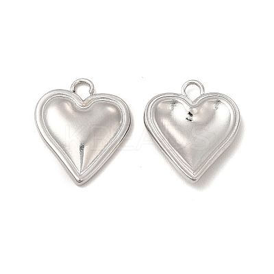 Non-Tarnish 304 Stainless Steel Pendants STAS-I671-21P-1