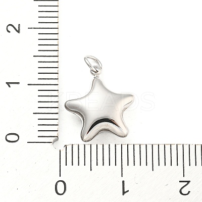 Non-Tarnish 304 Stainless Steel Charms STAS-P333-07P-1