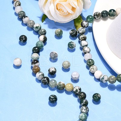 Natural Tree Agate Beads Strands X-G-H1633-8MM-1