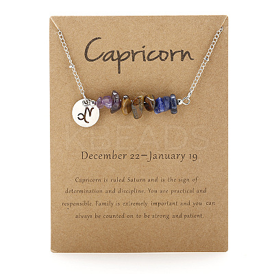 667 Stainless Steel with Natural Amethyst & Natural Tiger Eye & Natural Lapis Lazuli Chip Pendant Necklaces FS-WGFED6E-05-1