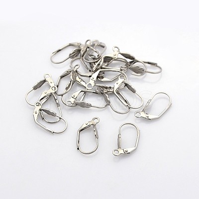 Tarnish Resistant 304 Stainless Steel Leverback Earring Findings LS-STAS-N036-02-1