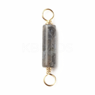 Natural Larvikite Connector Charms PALLOY-JF01454-05-1