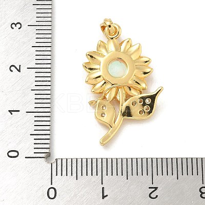 Brass Micro Pave Cubic Zirconia with Resin Pendants X-KK-G517-05G-01-1