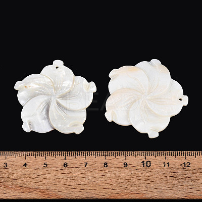 Natural Freshwater Shell Carved Pendants SHEL-N038-15-1