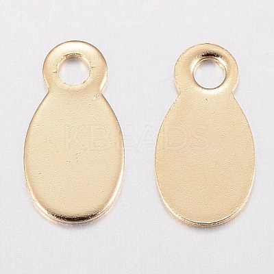 201 Stainless Steel Charms STAS-H436-52-1