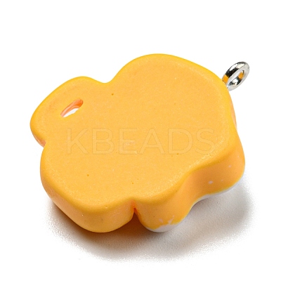 Opaque Resin Imitation Food Pendants LS-CRES-D019-01C-1