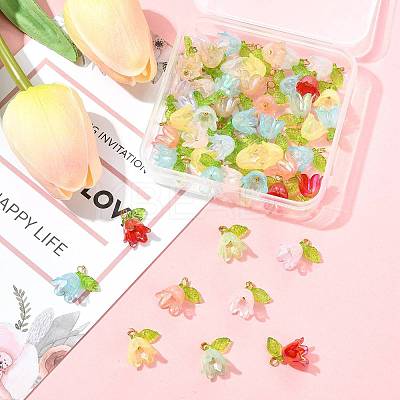 50Pcs Transparent Acrylic Pendants PALLOY-FS00043-03-1