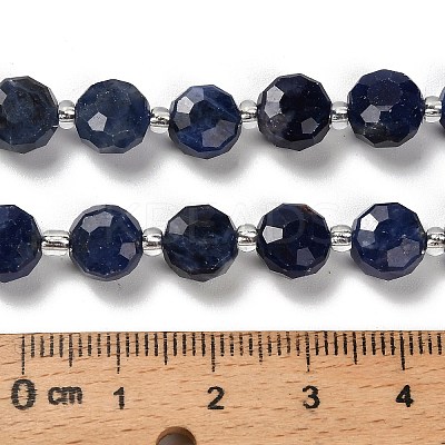 Natural Sodalite Beads Strands G-B153-A11-1