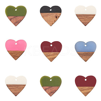Resin & Wood Pendants RESI-CJ0001-17-1