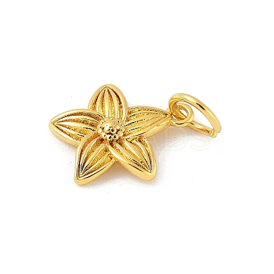 Brass Charms KK-Z107-05G-02-1