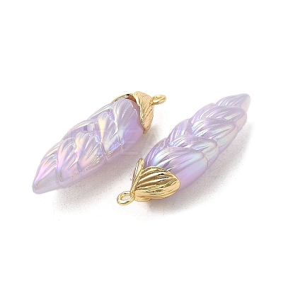 Rainbow Iridescent Plating Resin Pendants RESI-C047-03E-G-1