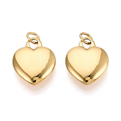 316 Surgical Stainless Steel Pendants LS-STAS-N097-032-1