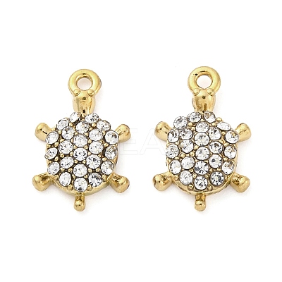 304 Stainless Steel Charms LS-STAS-V003-05G-04-1