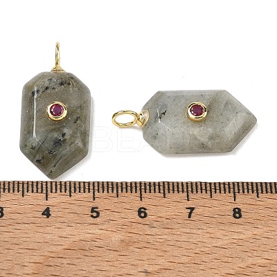 Natural Labradorite Pendants KK-CBAF9BC-20G-01-1