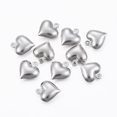 Tarnish Resistant 304 Stainless Steel Charms A-STAS-H413-16P-1