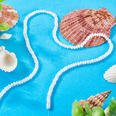 1 Strand Natural Trochus Shell Rondelle Beads Strands SSHEL-TA0001-16A-1