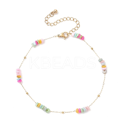 Dyed Disc Natural Shell Beaded 304 Stainless Steel Link Chain Anklets AJEW-AN00725-1