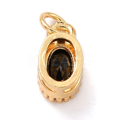 Real 18K Gold Plated Brass Inlaid Cubic Zirconia Charms ZIRC-L100-079G-01-1