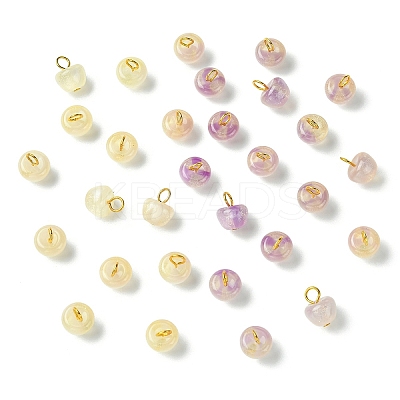 30Pcs Resin UV Reactive Charms PALLOY-YW00173-01-1