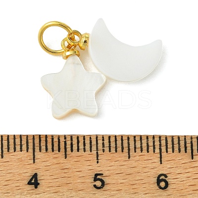 Natural Freshwater Shell Pendants PALLOY-JF05399-1