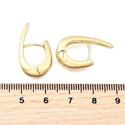 Brass Teardrop Hoop Earrings EJEW-Z121-09G-1