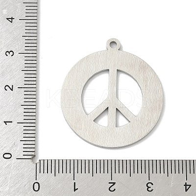 304 Stainless Steel Pendants STAS-F326-07P-1