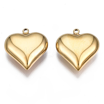 316 Surgical Stainless Steel Pendants STAS-N097-073-1
