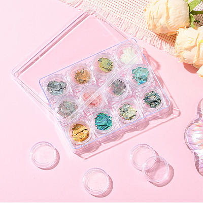 12 Colors Shell Chips Nail Art Decorations Accessories DIY-WH20002-669-1