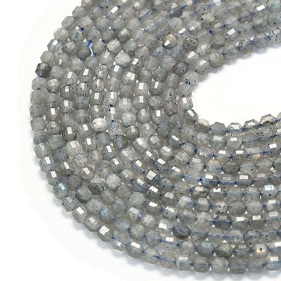 Natural Labradorite Beads Strands G-A260-A44-01A-1