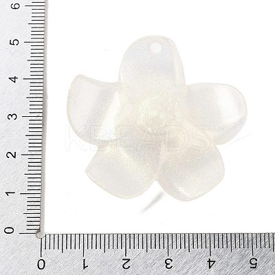 Opaque Resin Pendants FIND-M035-03B-1