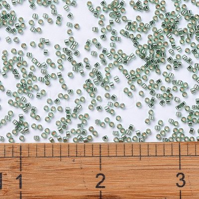 MIYUKI Delica Beads SEED-X0054-DB2165-1
